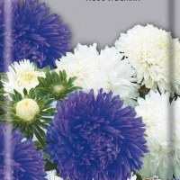 ����� ��������� ���� � �����