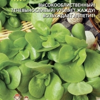 �������� �������