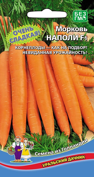 морковь наполи морковь наполи