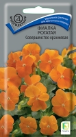 fialka_rogataya_sovershenstvo_orange