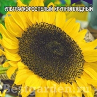 �������������������������������