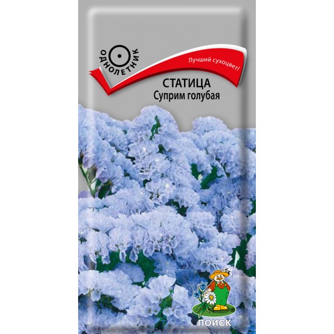 Статица Суприм голубая Статица Суприм голубая