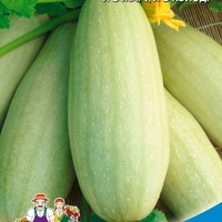 �������������������������������