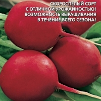 ����� ���� �������������