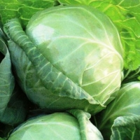 �������-������������-�����-1305