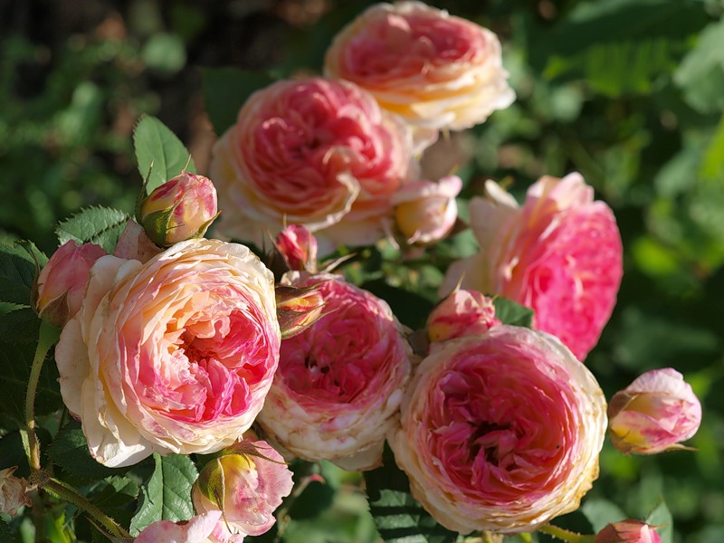 f1_50101972-c0c7-4d40-893a-2e1ba55a322d