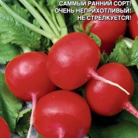 ����� 16 �������