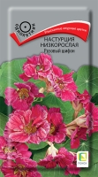 nasturtsiya_nizkoroslaya_rozovyy_shifon