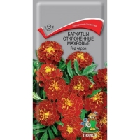 �������� ����. ��� ����� ����.