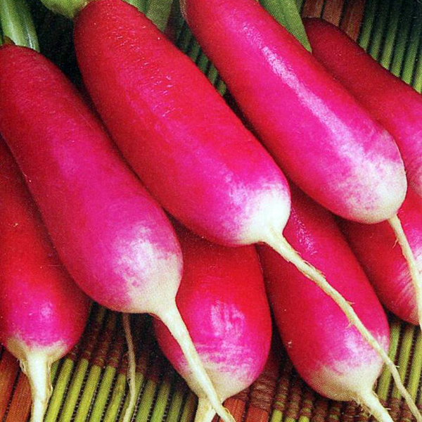 xl_05c0c153-a18b-456b-86d8-13eac0c11274