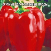 ��������� �������