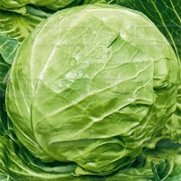 49454d91b0b2503b4f7ebbf59e61a308