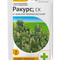 ������ 4 ��