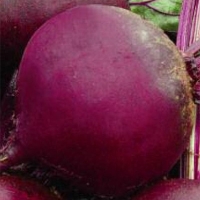 ������-��������-�������-������������