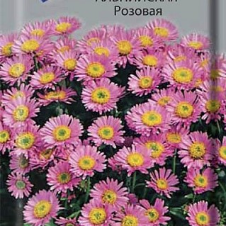 альп розовая альп розовая