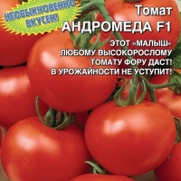 �������������������������������