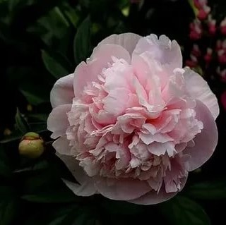 �������������������������������