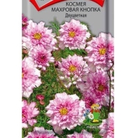 ������ �������� ������ ���������� 0,1��