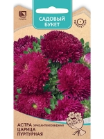 ����� ������ ������