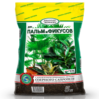 �������� ��� ����� � ������� 5� 