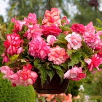 ������� ����0