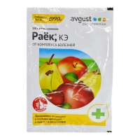 ���� 2 ��