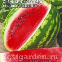 �������������������������������