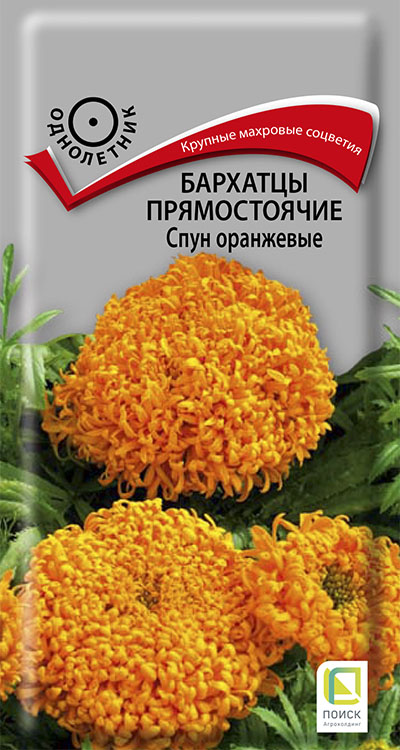 barhatsy_pryamost_spun_orange barhatsy_pryamost_spun_orange