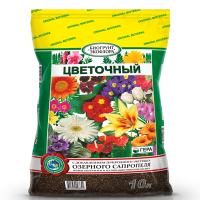 �������������������������������