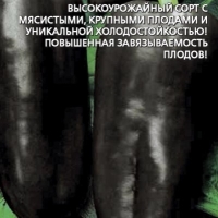 �������������������������������