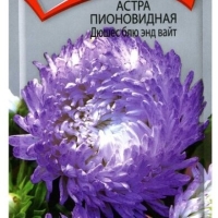 ����� ����������� ����� ��� ��� ����