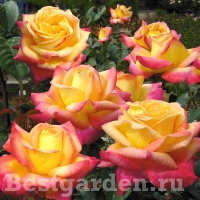 f1_88942eab-07b7-4361-8c1b-b930fc930454