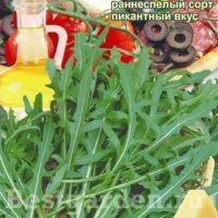 ������� (�����) �������� 1 ��.