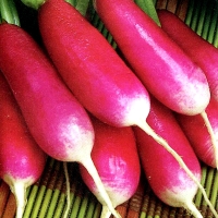 xl_05c0c153-a18b-456b-86d8-13eac0c11274