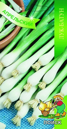 f1_70082713-b128-4229-88ba-b6d78fbe70fa