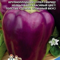 ����� ������� ������ ���������� F1