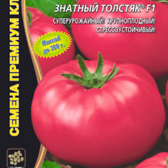 �����-�������������-���������-����-���-���������-������-�������-�������-F1