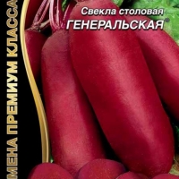 ������ ������������