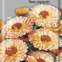 �������������������������������