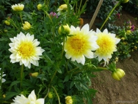 �������� ��������� 2