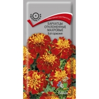 ��� ��������