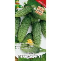 �������������������������������