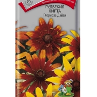 �������������������������������