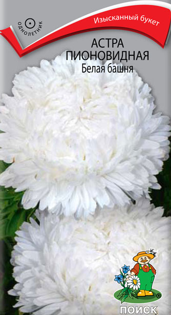 f1_535b5a08-970f-4d41-8184-cf76149c5812