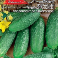 �������������������������������