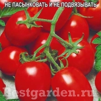 �������������������������������