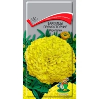 �������� ����