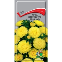 �������������������������������