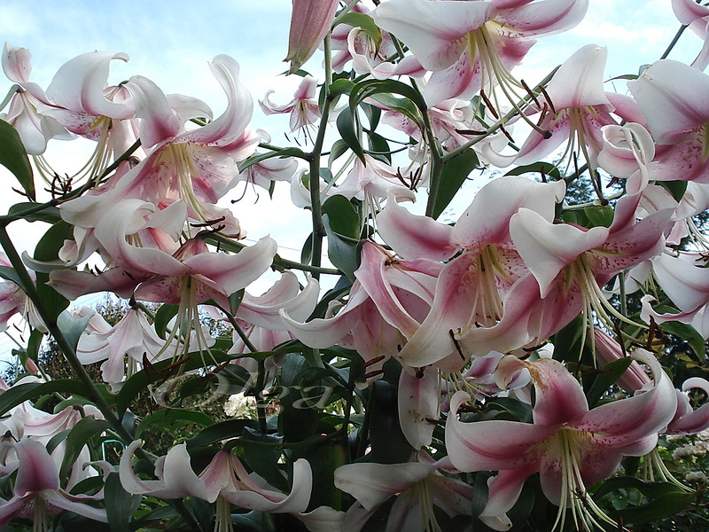 f1_1b2c2aa5-f31e-4185-b20e-88cd7a5be558