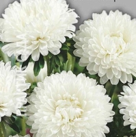 �������������������������������